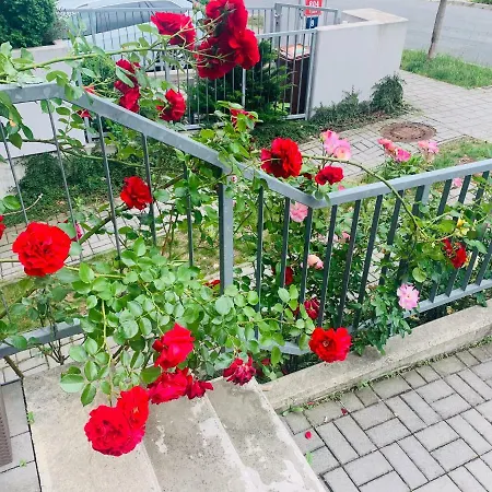 Uniqhotel מלון 3*