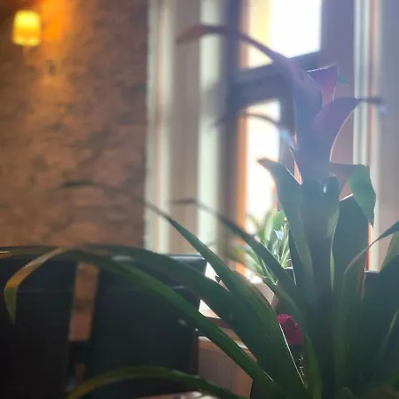 Hotel Uniqhotel česky šternberk Cesky Sternberk