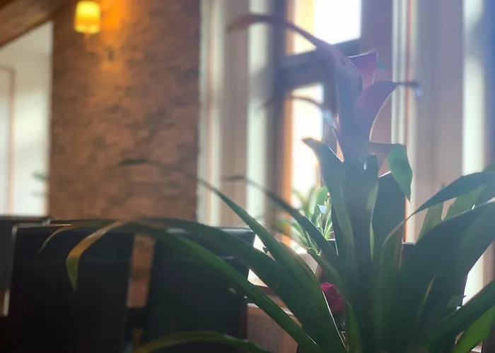 酒店 Uniqhotel 捷克施特恩贝克